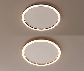 Modern Ceiling Lamp Round Ceiling Lamp 3d model