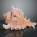 Detailed Animal Skin Organ With Thick Fur Hair And Natural Texture
