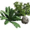 Green Fern and Leafy Plant Arrangement with Natural Rock Decoration