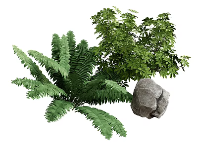Green Fern and Leafy Plant Arrangement with Natural Rock Decoration 3d model