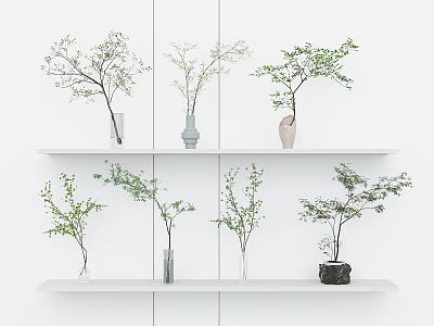 Modern Green Plants in Multiple Vases on White Shelves Interior 3d model