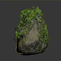 Natural Stone And Wood Decorative Item With Green Vines For Garden Decoration