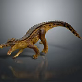 Realistic Crocodile Model With Open Mouth And Textured Skin And Reflection In Standing Pose
