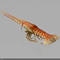 Red And White Lobster With Long Antennae On Dark Background With Reflection 3d model