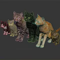 Group of Different Breed Cats With Various Colors Standing Together on Dark Smooth Surface