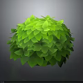 Vibrant Green Leafy Round Shaped Plant With Lush Foliage And Round Structure On Dark Background