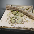 Wood And Stone Geometric Display With Layered Wood And Mossy Stone Surface Texture