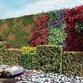 Vibrant Living Plant Wall With Red Green Foliage And Stone Border Design