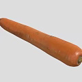 Fresh Long Orange Carrot with Smooth Surface and Natural Texture Details