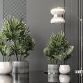 Stylish Potted Bonsai Plants In Modern Interior With White Gray Pots And Floor Lamp