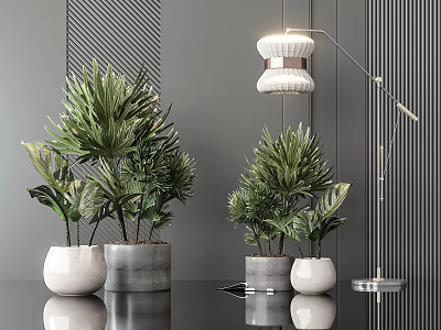 Stylish Potted Bonsai Plants In Modern Interior With White Gray Pots And Floor Lamp 3d model