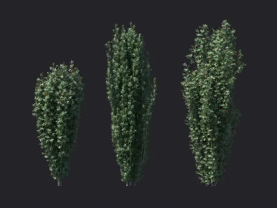 Three Green Leafy Shrubs with Different Natural Growth Forms for Landscaping 3d model