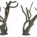 Detailed Bare Tree Trunks Featuring Twisted Branches And Dry Woody Texture