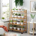 Indoor Garden Decor With Multi Layer Bamboo Plant Stand White Pots And Potted Succulents