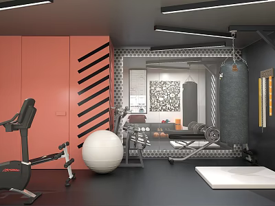 Modern Home Gym With Exercise Bike Yoga Ball Treadmill And Punching Bag 3d model