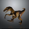 Realistic Orange Brown Velociraptor 3D Model in Standing Pose with Gray Background 3d model