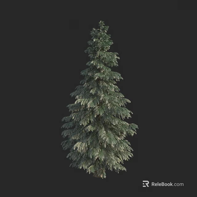 Tall Evergreen Arbor Tree with Lush Green Foliage and Pyramidal Crown 3d model 