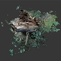 Weathered Wood And Stone Tree Stump Decor With Broken Texture And Green Moss