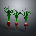 Fresh Red Onions With Green Leaves And White Roots For Healthy Cooking
