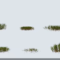 Displaying Different Shapes And Sizes Of Natural Green Grass Tufts On White Background