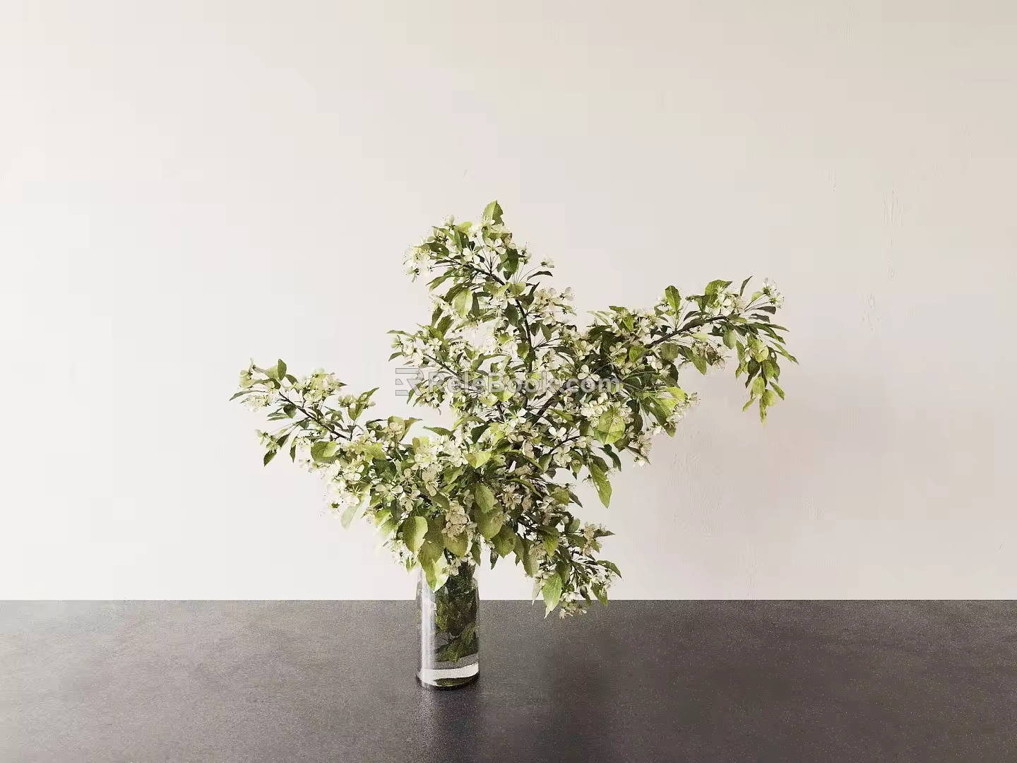 Vase Flower Pot Plant 3d model