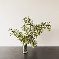 Vase Flower Pot Plant 3d model