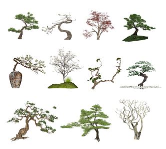 New Chinese tree landscape tree landscape sketch 3d model