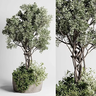 Modern potted plant green plant pile 3d model