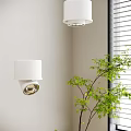 Modern Home Interior With White Downlights Spotlights And Green Plant Near Window