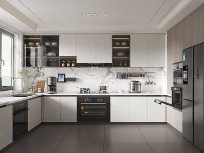 Modern Kitchen model