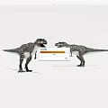 Two Realistic Dinosaur Models Standing Face to Face With Detailed Skin Patterns 3d model