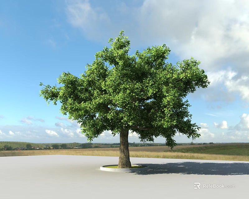 Garden Landscape With Large Green Tree Open Grassland Cloudy Sky And Distant Horizon 3d model 