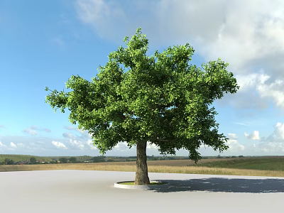Garden Landscape With Large Green Tree Open Grassland Cloudy Sky And Distant Horizon 3d model