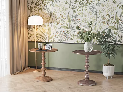 Two Wooden Side Tables with Round Tops Green Plants and Table Lamp in Cozy Room 3d model