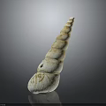 Marine Snail With Spiral Shaped Shell Featuring Cream And Brown Stripes