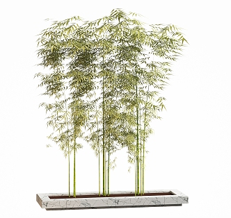 Bamboo potted plant decorative ornaments bamboo landscape sketch plant potted plant ornaments floral trees 3d model