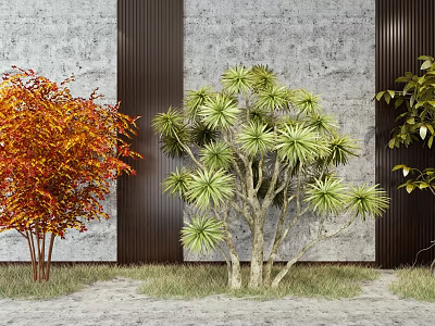 Red Leaved and Green Leafy Shrubs by Gray Wall with Dark Wooden Pillars 3d model Red Leaved and Green Leafy Shrubs by Gray Wall with Dark Wooden Pillars 3d model