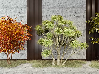 modern shrub shrub assemblage 3d model
