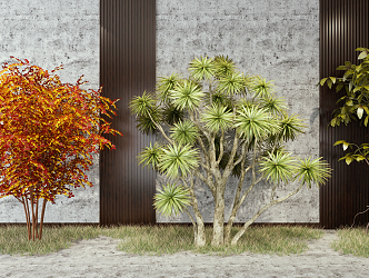 modern shrub assemblage 3d model