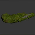 Lush Green Natural Moss Covered Rock Formation With Small Stones And Textured Surface