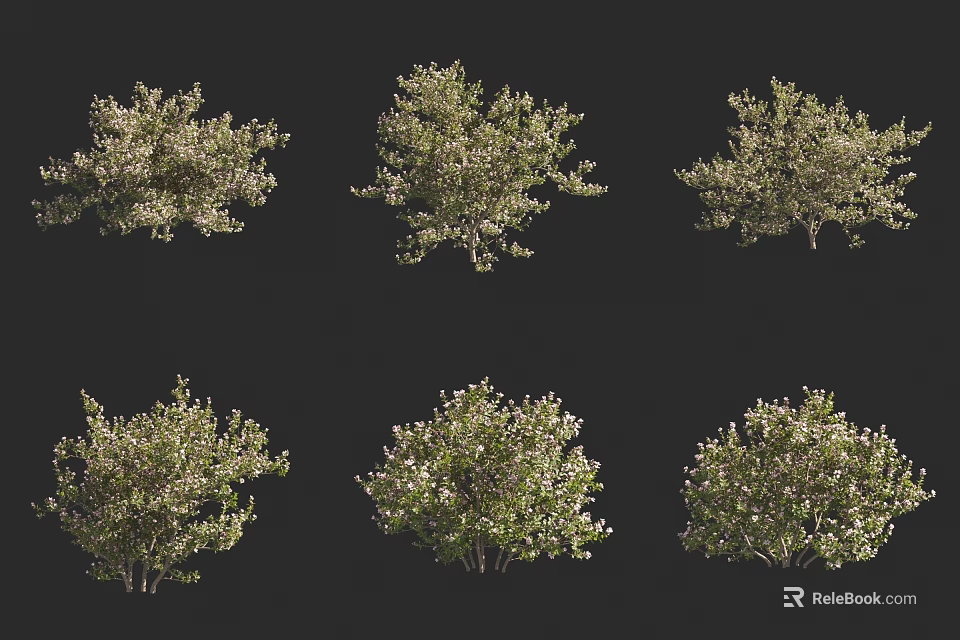 Various Green Leaf Shrubs With Small White Flowers On Black Background 3d model