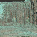 Rocky Stone Cliff With Wooden Tree Roots And Small Green Plants In Natural Environment