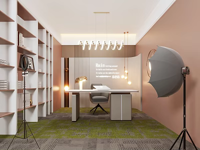 Public Office Area With Shelves Hanging Chandelier Lights Work Desk Office Chair And Green Carpet 3d model