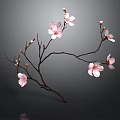 Elegant Pink Blossom Branch Adorned with Delicate Flowers on Dark Background