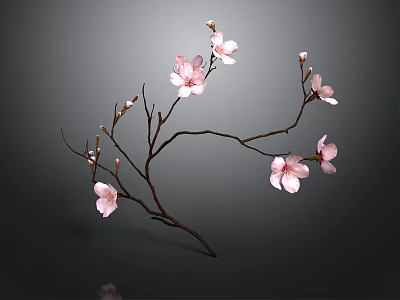 Elegant Pink Blossom Branch Adorned with Delicate Flowers on Dark Background 3d model