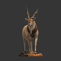 Modern antelope animals 3d model