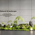 Natural Indoor Landscape Design With Green Plants Ferns Stones And Lighting