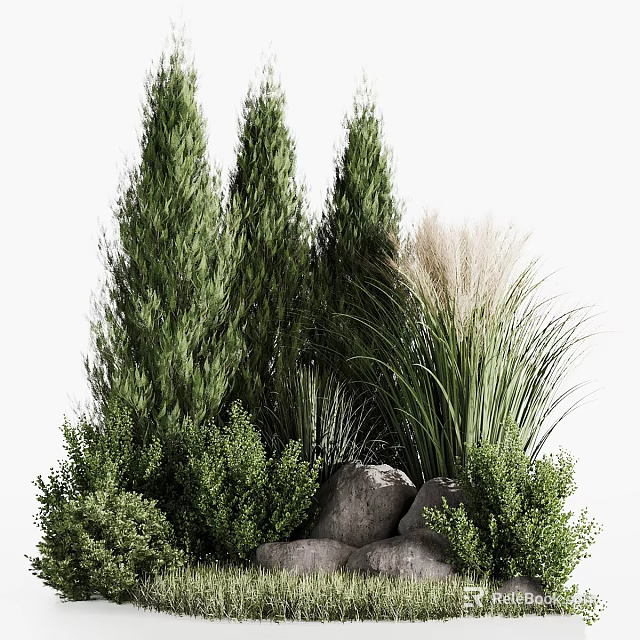 Lush Garden Decorative Feature With Tall Evergreen Trees Ornamental Grasses And Natural Stones 3d model 