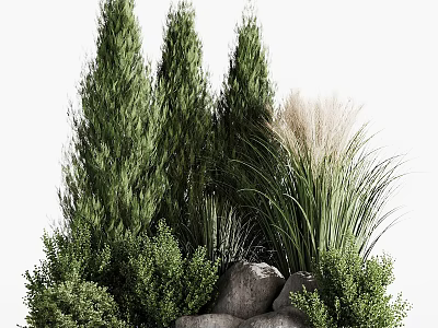 Lush Garden Decorative Feature With Tall Evergreen Trees Ornamental Grasses And Natural Stones 3d model