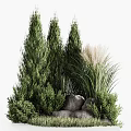Lush Garden Decorative Feature With Tall Evergreen Trees Ornamental Grasses And Natural Stones